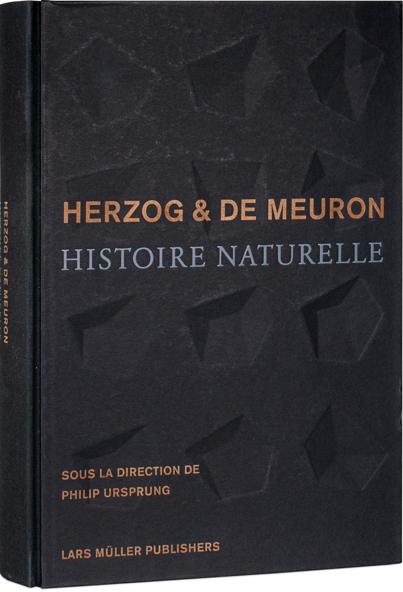 Herzog-&-De-Meuron_Histoire-