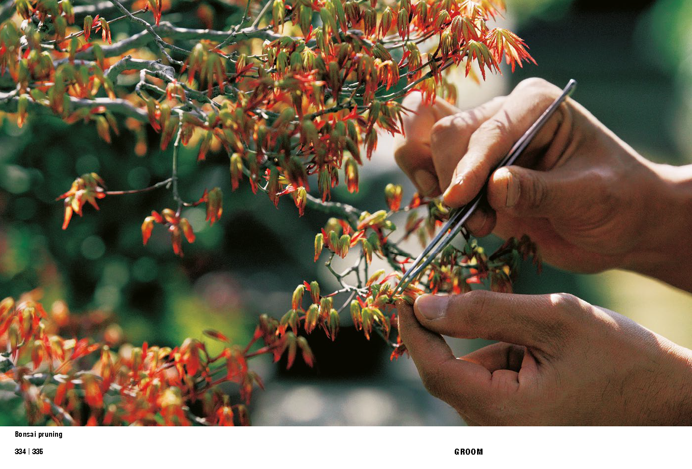 Cleaning by Kenya hara