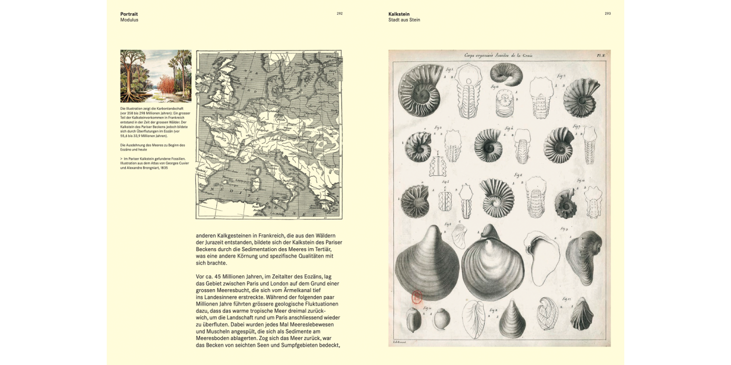 Mutation-and-Morphosis_DE_08