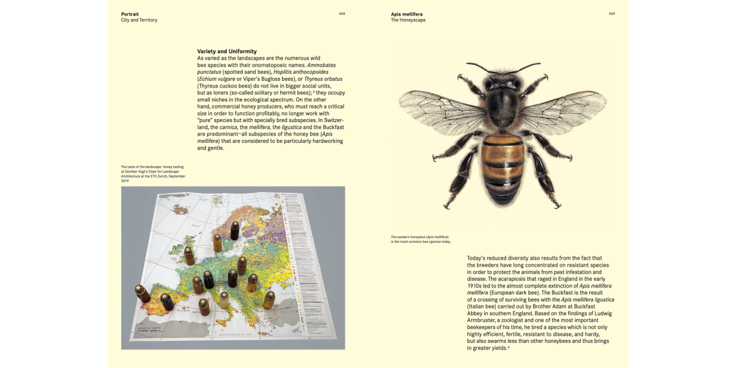 Mutation-and-Morphosis_EN_10