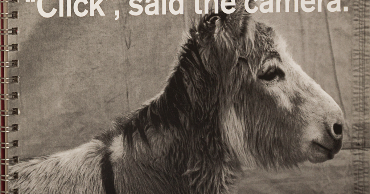 “Click”, said the camera. Special Edition | Lars Müller Publishers