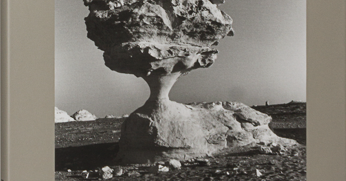 Trees like Stones | Lars Müller Publishers