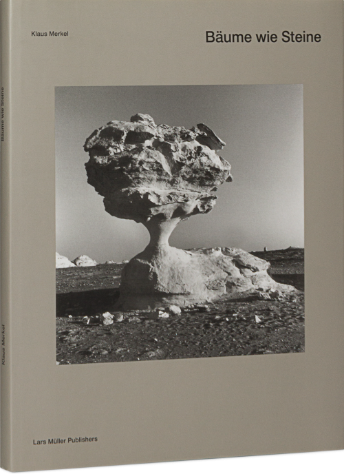 Klaus Merkel Album of Stones 作品集 Album of Stones | Lars Müller Publishers