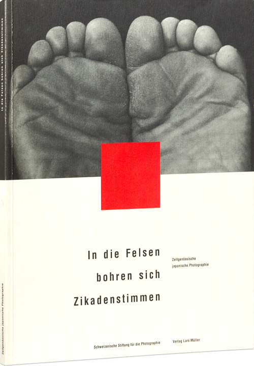 In die Felsen bohren sich Zikadenstimmen Cover