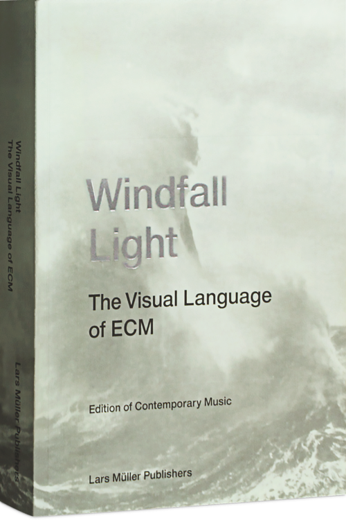 Windfall Light Cover